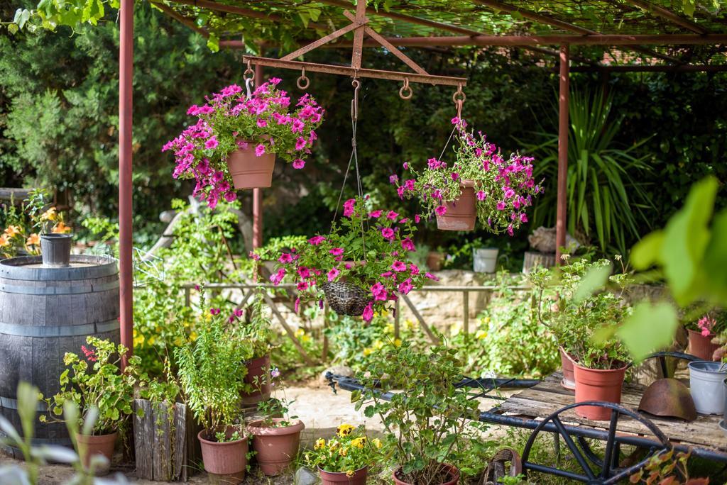 Guesthouse Alexandros Nestorion エクステリア 写真